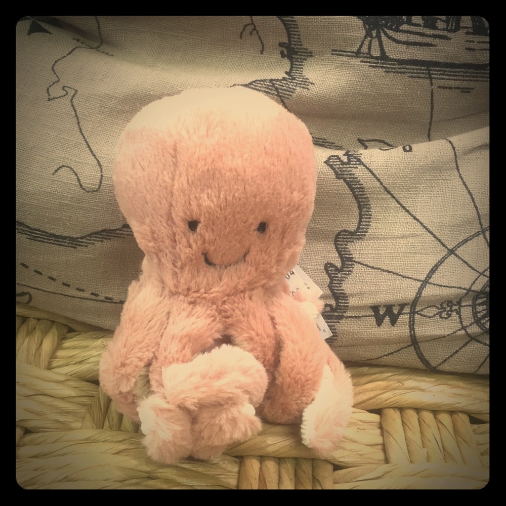 Baby Octopus Toy